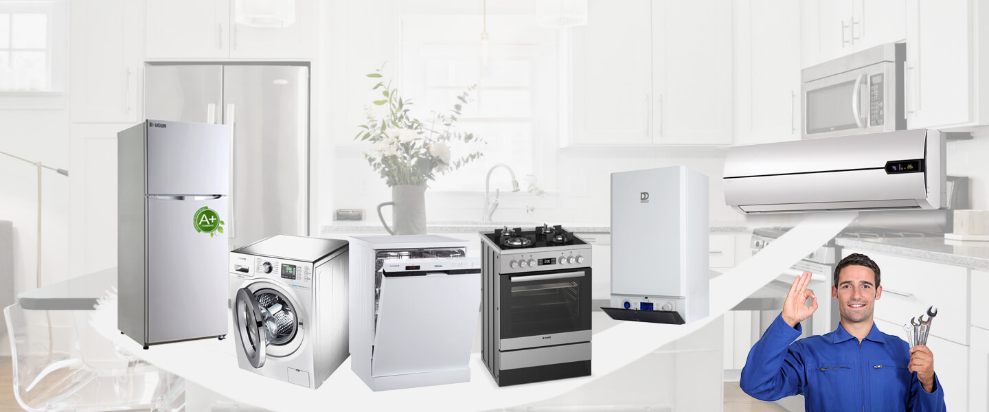 Çınar Grundig Servisi
